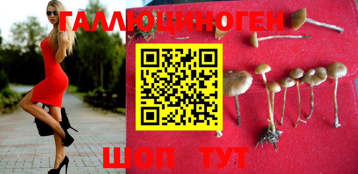 Галлюциногенные грибы мицелий Ставрополь