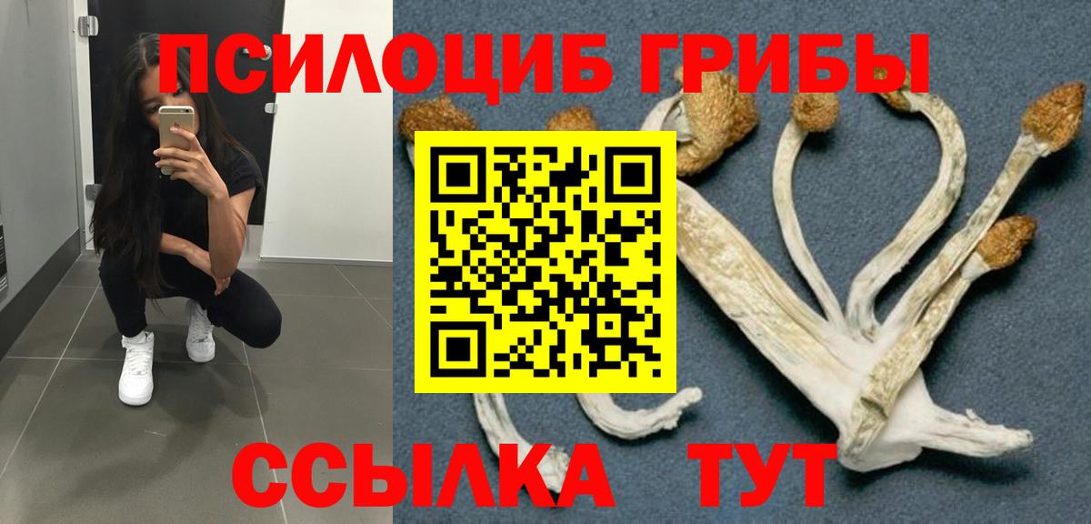 Галлюциногенные грибы ЛСД  Вход с VPN  Ставрополь 